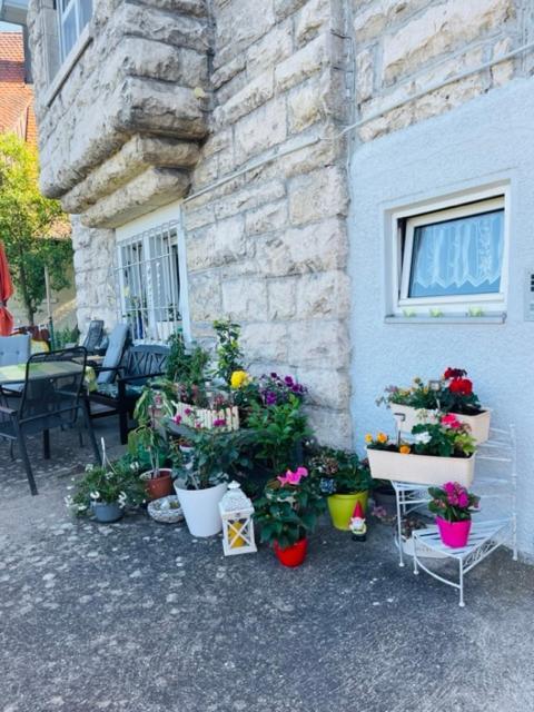Tolle Wohnung In Bester Lage Von Heidenheim المظهر الخارجي الصورة